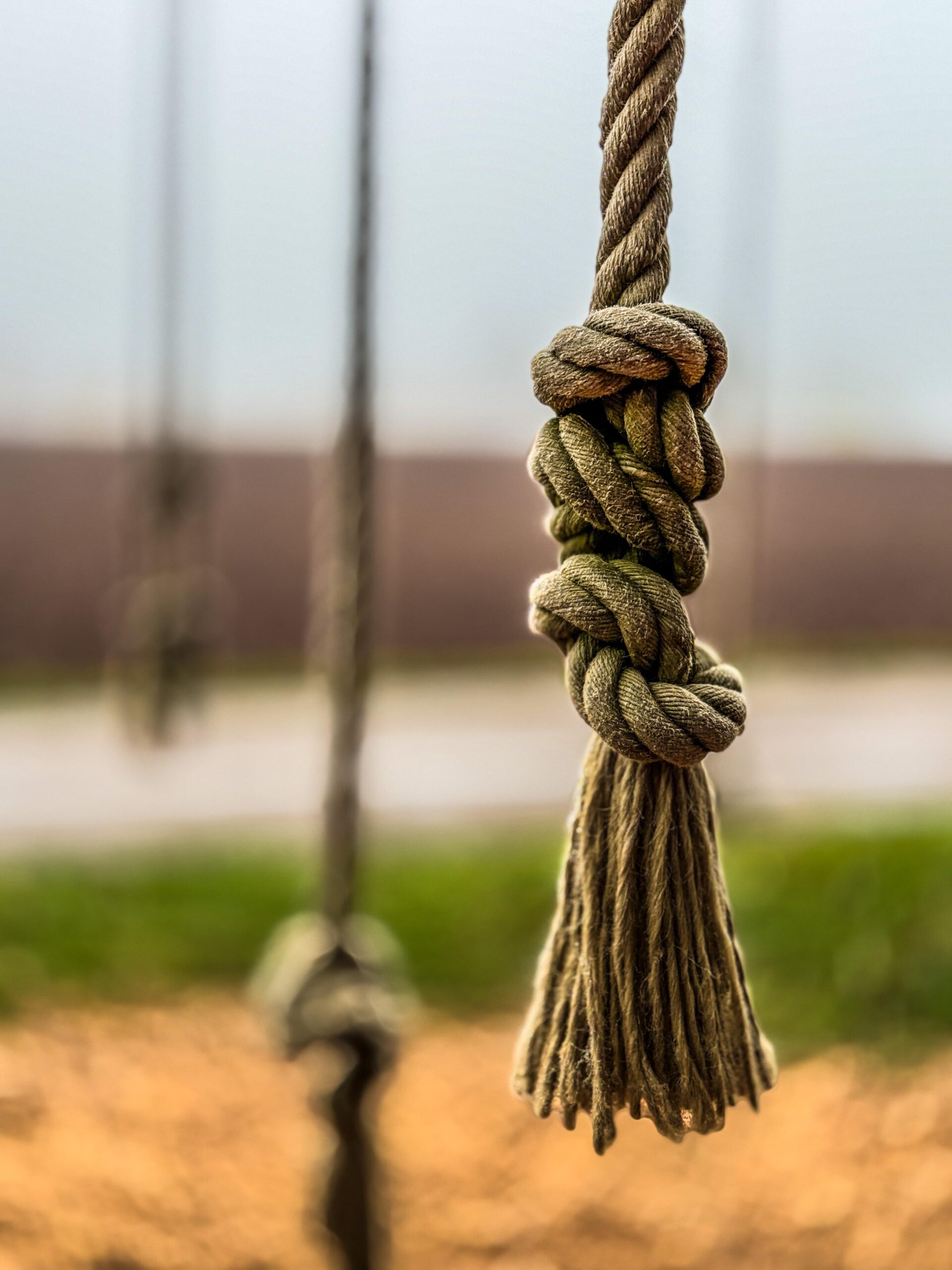 509e6418-3a91-4ea3-a766-77f86d571de7